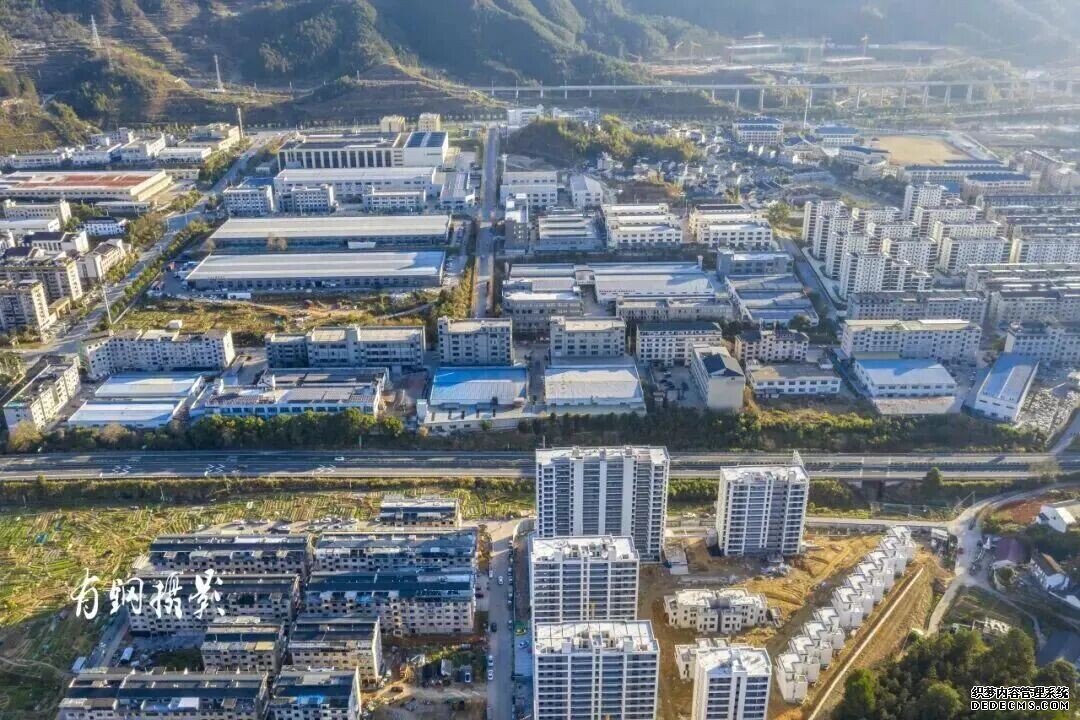 浙江龙泉竹木产业“破茧成蝶”跃向百亿级集群